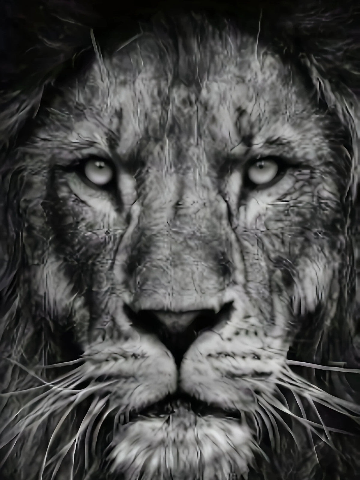 Men'S 3D Lion Graphic T-Shirt - Casual Black Short Sleeve Tee with Realistic