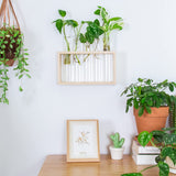 Ivolador Wall Mounted Hanging Plants Terrariumin Test Tube Flower Bud Tabletop Glass Wooden Stand with 5 Test Tube Perfect for Propagating Hydroponic Plants Home Garden Wedding Decoration-Log