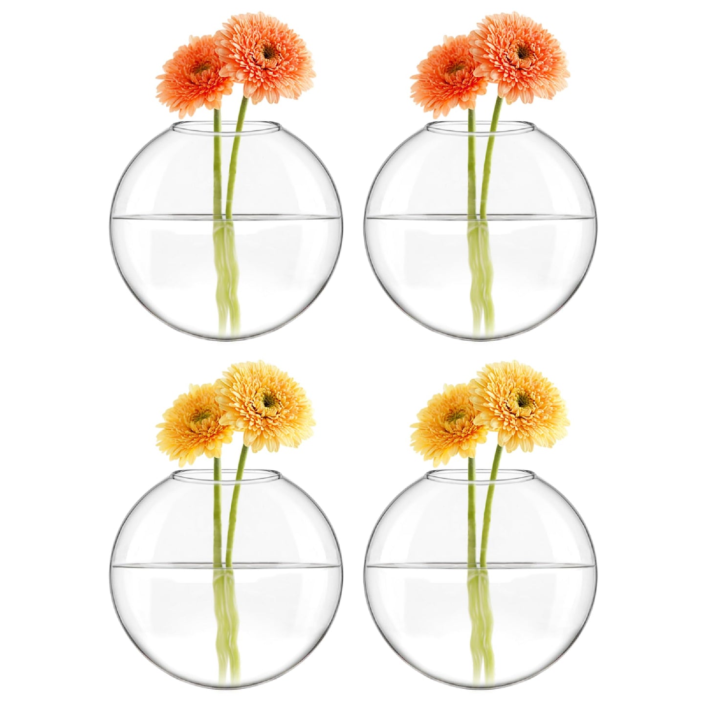 Mkono Wall Hanging Planter Propagation Station Glass Flower Vase for Hydroponics Plants, Bathroom, Home Office Living Room Decor Gift, Oblate Set of 4