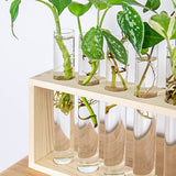 Ivolador Wall Mounted Hanging Plants Terrariumin Test Tube Flower Bud Tabletop Glass Wooden Stand with 5 Test Tube Perfect for Propagating Hydroponic Plants Home Garden Wedding Decoration-Log