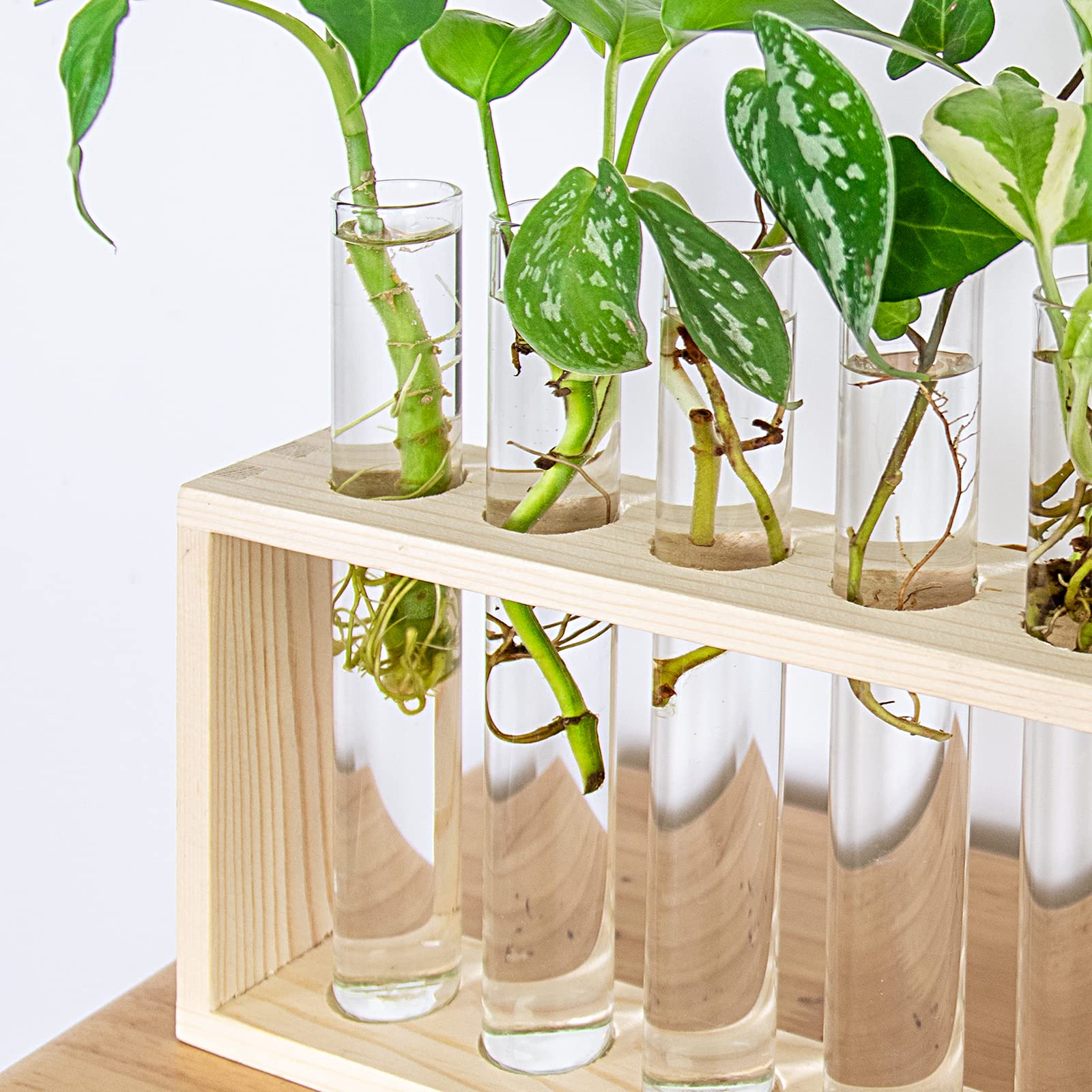 Ivolador Wall Mounted Hanging Plants Terrariumin Test Tube Flower Bud Tabletop Glass Wooden Stand with 5 Test Tube Perfect for Propagating Hydroponic Plants Home Garden Wedding Decoration-Log