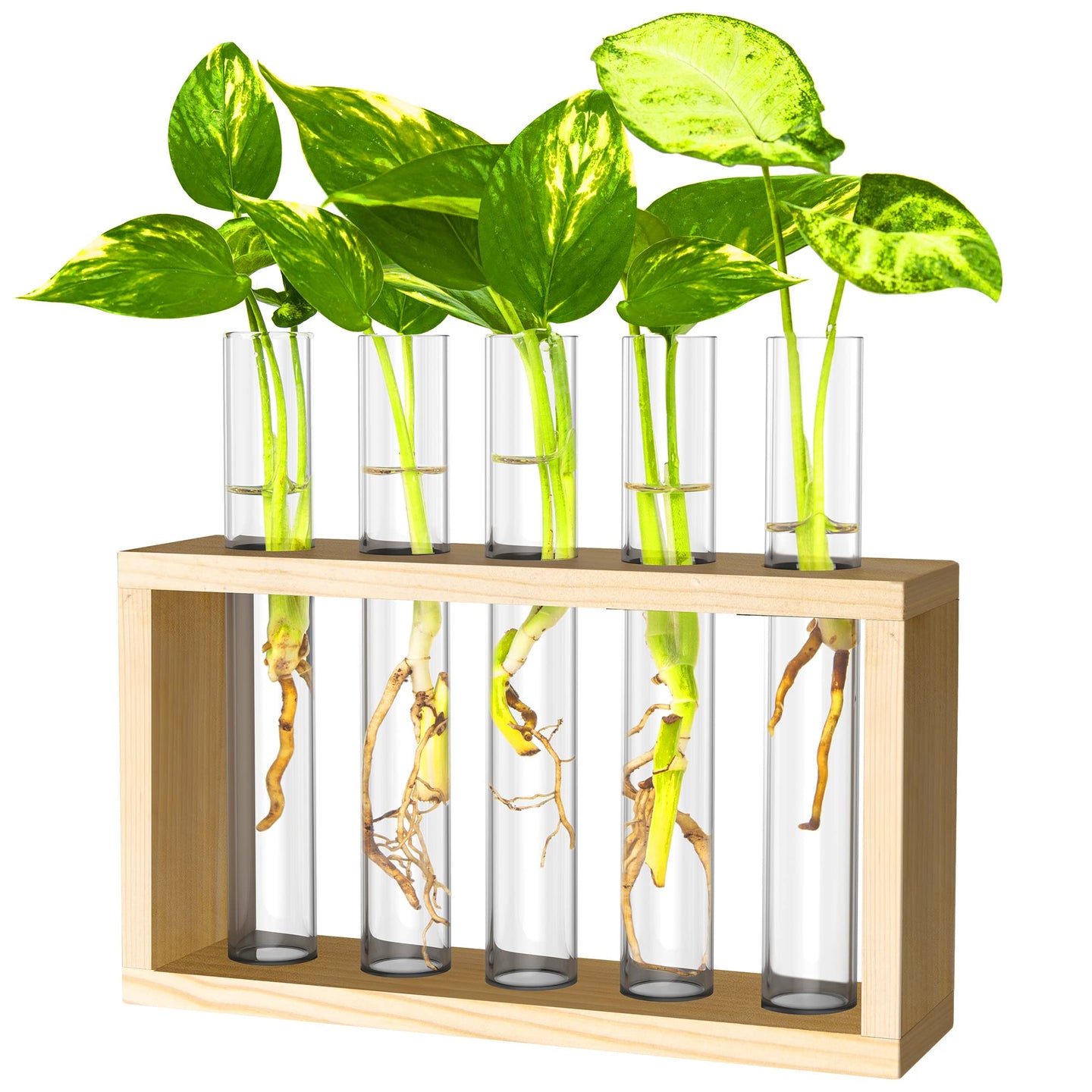 Ivolador Wall Mounted Hanging Plants Terrariumin Test Tube Flower Bud Tabletop Glass Wooden Stand with 5 Test Tube Perfect for Propagating Hydroponic Plants Home Garden Wedding Decoration-Log
