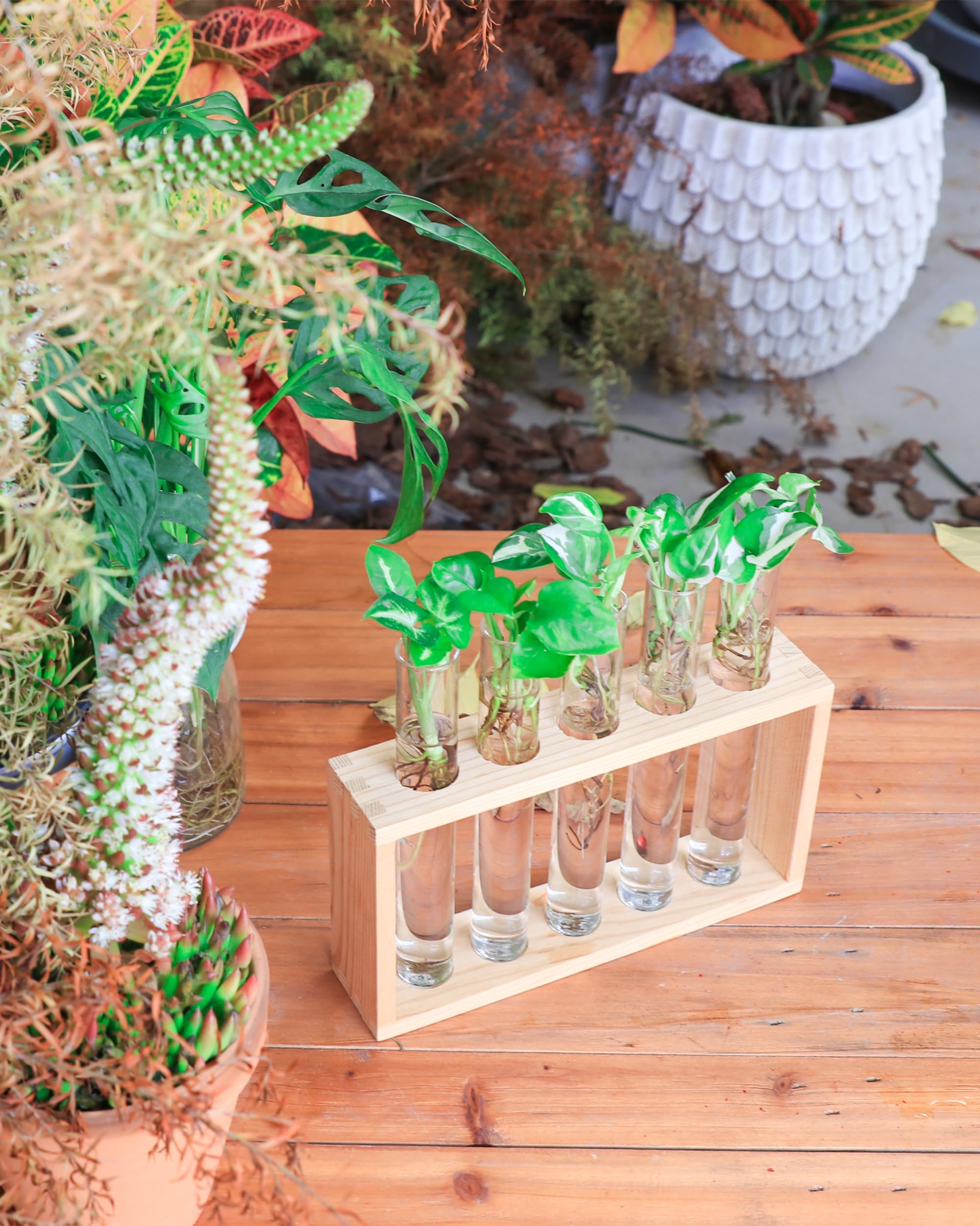 Ivolador Wall Mounted Hanging Plants Terrariumin Test Tube Flower Bud Tabletop Glass Wooden Stand with 5 Test Tube Perfect for Propagating Hydroponic Plants Home Garden Wedding Decoration-Log