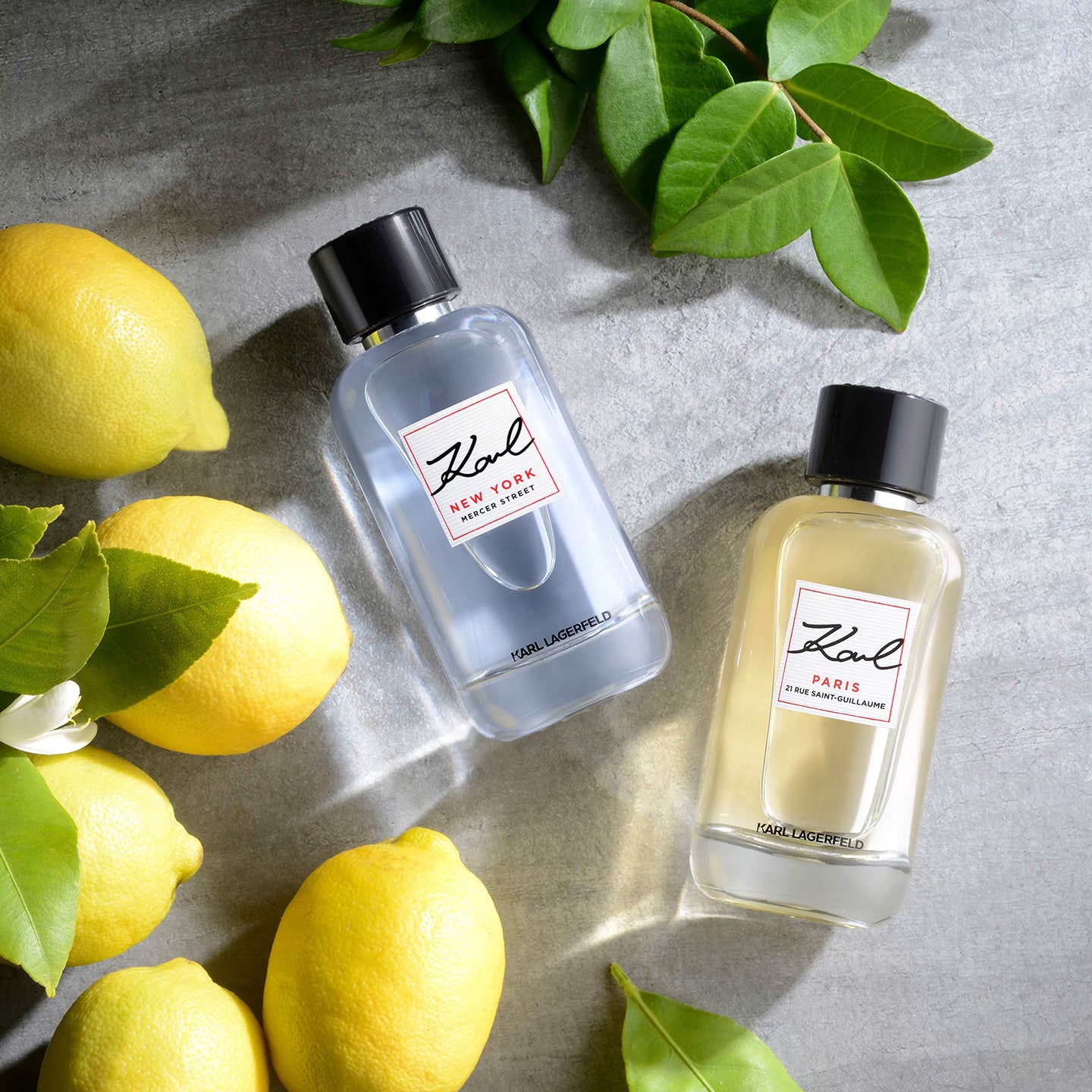 Karl Lagerfeld Paris 21 Rue Saint-Guillaume for Women - 3.3 oz EDP Spray