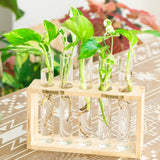Ivolador Wall Mounted Hanging Plants Terrariumin Test Tube Flower Bud Tabletop Glass Wooden Stand with 5 Test Tube Perfect for Propagating Hydroponic Plants Home Garden Wedding Decoration-Log