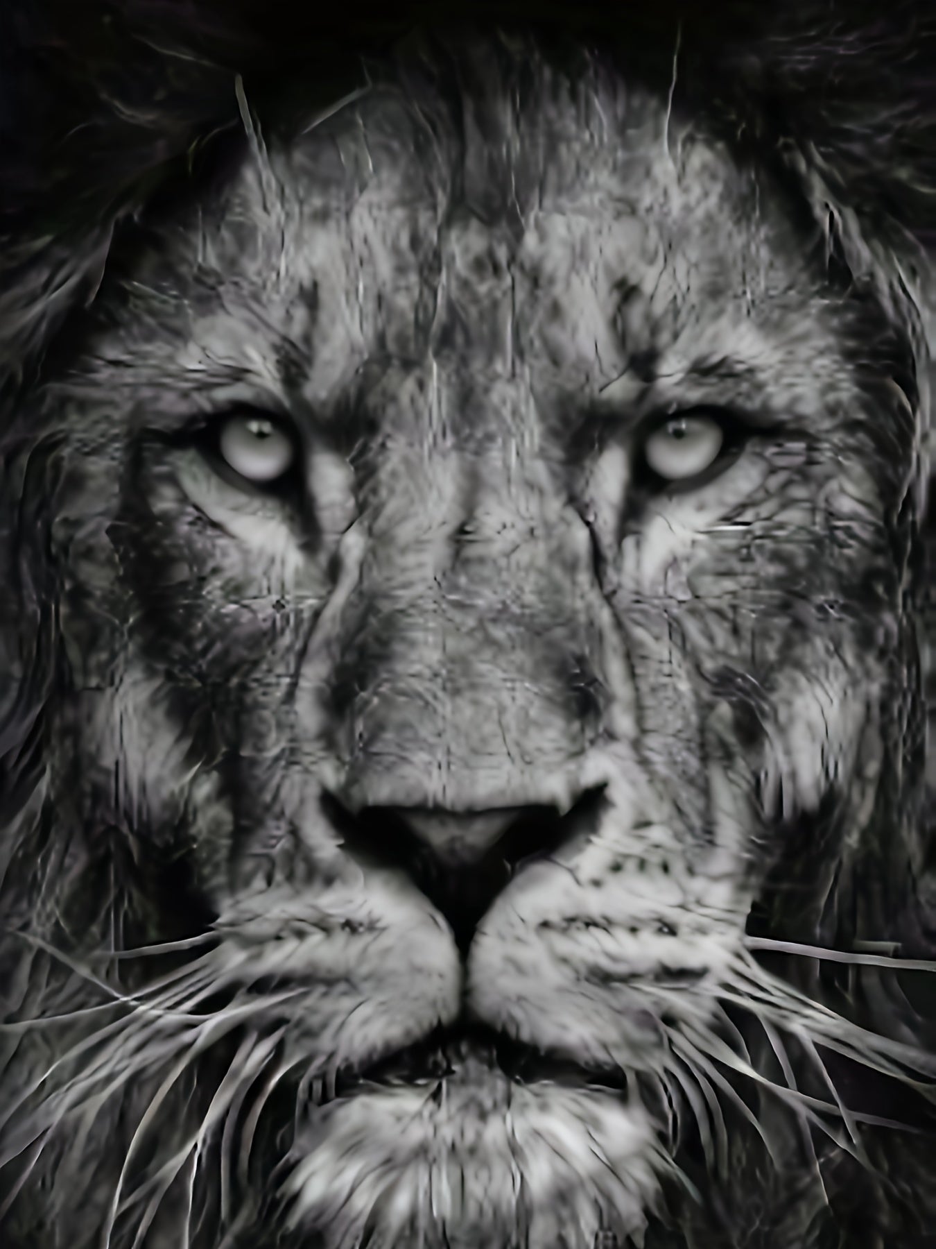 Men'S 3D Lion Graphic T-Shirt - Casual Black Short Sleeve Tee with Realistic Lion Print, All-Season Comfort, Mesh Fabric, Adult Fit, Outdoor Clothing | Realistic Print Shirt | Mesh Fabric Top, Lion Print Shirt