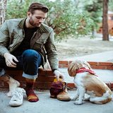 6 Pairs Of Men'S Random Color Casual Cotton Socks, Fun Colored Crazy Socks, Men'S Random Socks Blind Box Valentine'S Day Gift Randomly Send